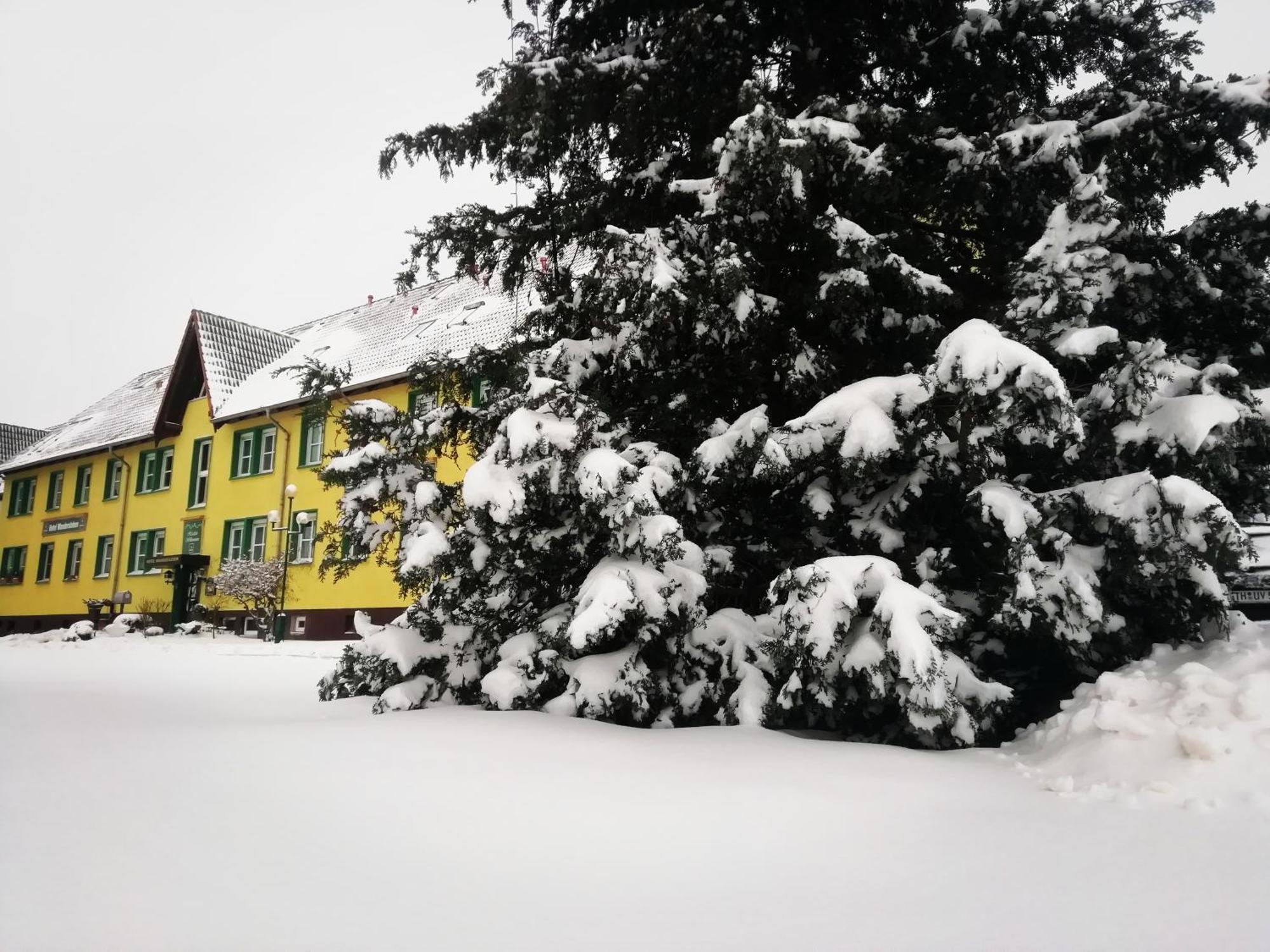 Hotel Wandersleben - Erfurt 外观 照片